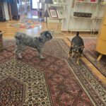 Eine Woche voller Herausforderungen – Wir blicken zurück - vom Umzug bis zur Tatortreinigung