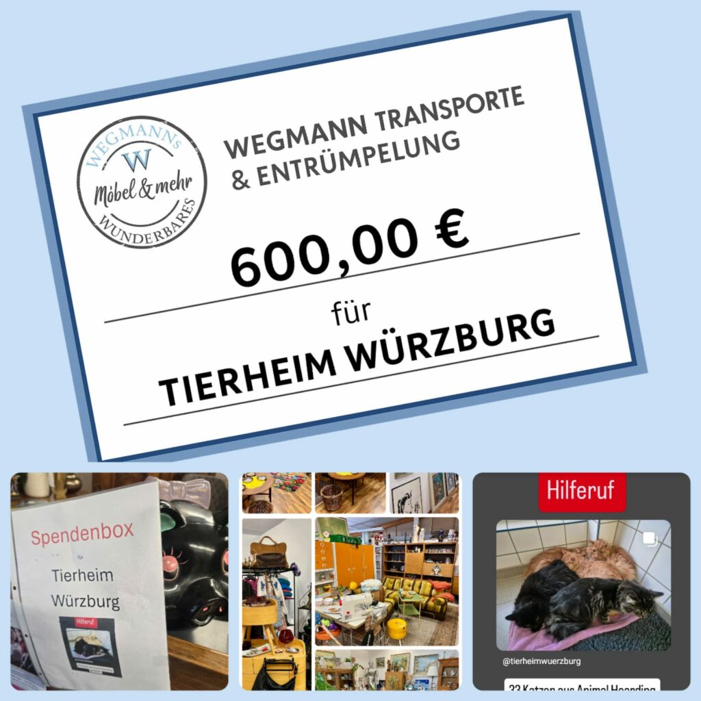 Wegmanns Wunderbares hilft - 600 Euro Spende an Tierheim Würzburg für Katzen aus Animal-Hoarding-Haushalt
